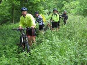 Negotiating the nettles