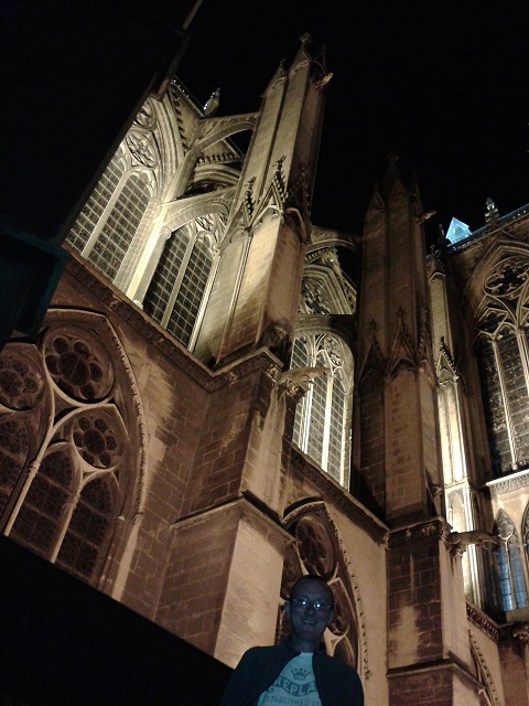 Browny at Metz Cathedral