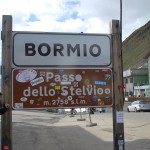 Browny the Stelvio Pass