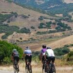 Rear-view peloton en route to Santa Teresa