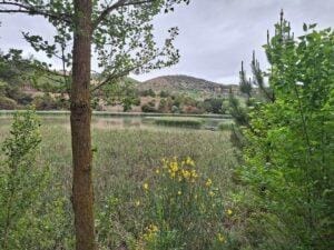 The lake outside the digs at Alhama